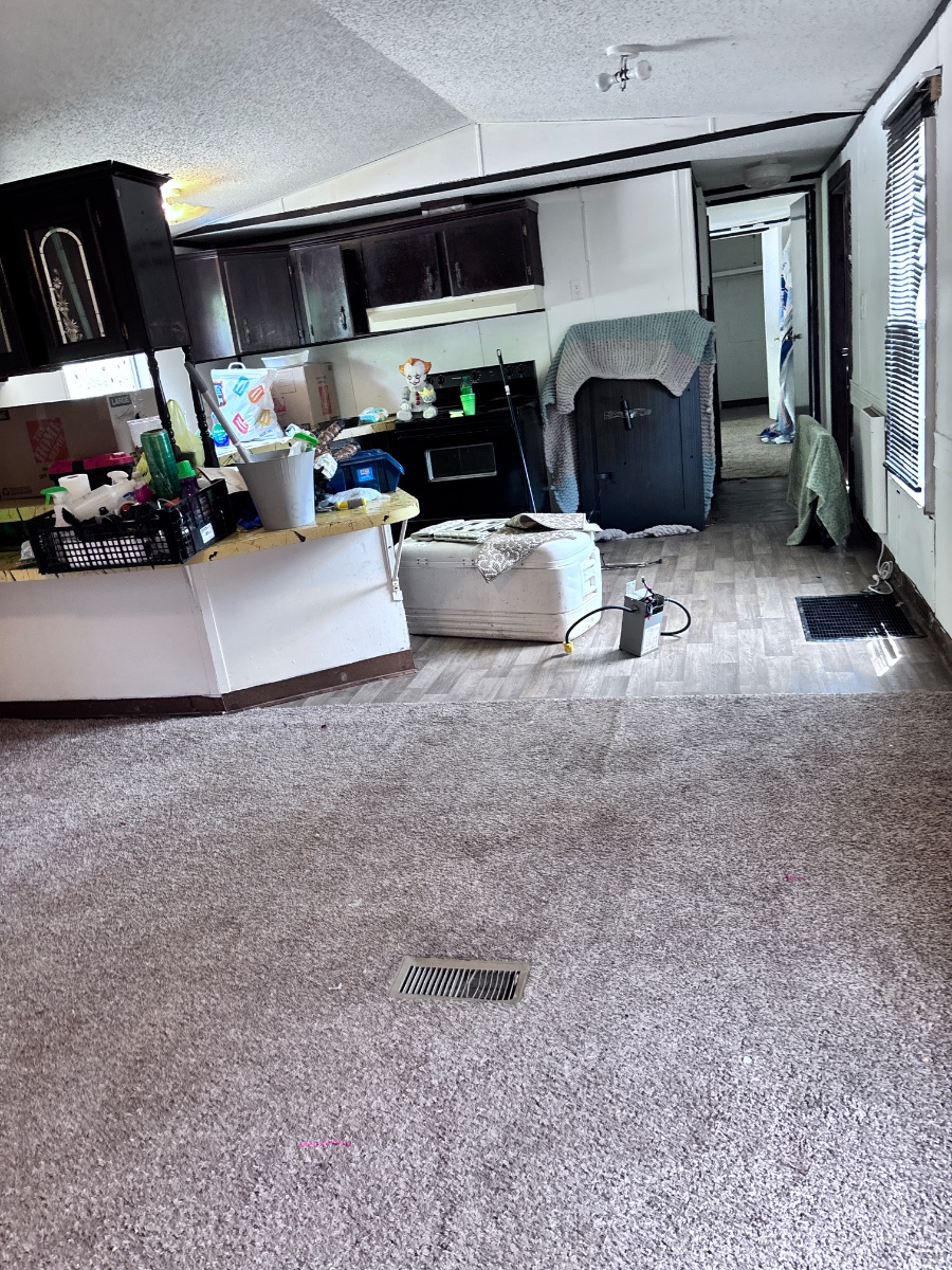 house cleaning before and after jobs — Heather Kesterson (Storm)