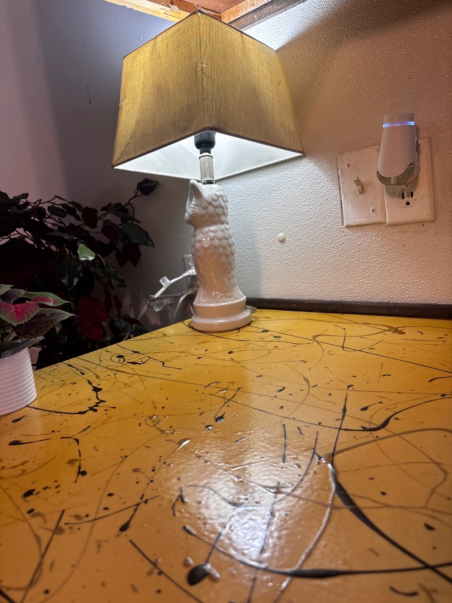 house cleaning before and after jobs — Heather Kesterson (Storm)