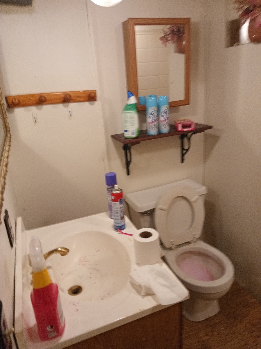 house cleaning before and after jobs — Heather Kesterson (Storm)