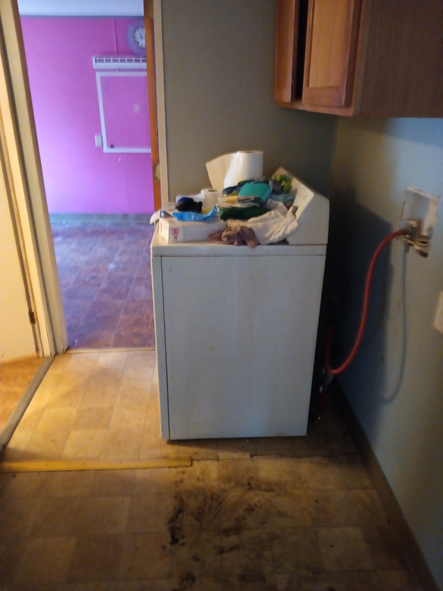 house cleaning before and after jobs — Heather Kesterson (Storm)