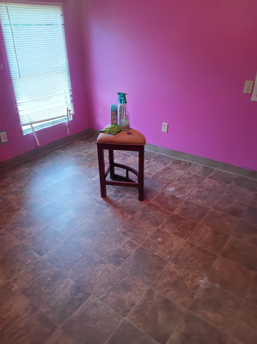 house cleaning before and after jobs — Heather Kesterson (Storm)