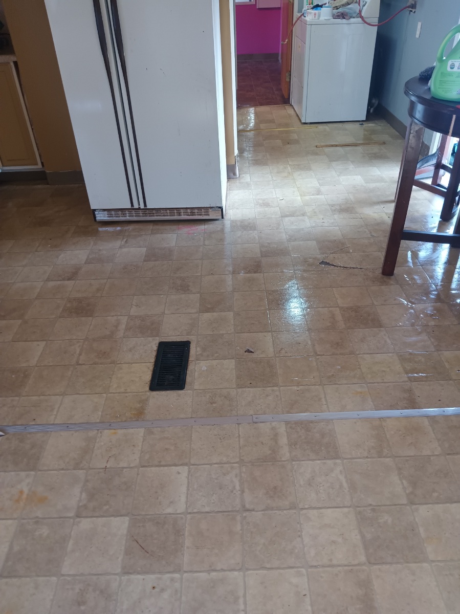 house cleaning before and after jobs — Heather Kesterson (Storm)