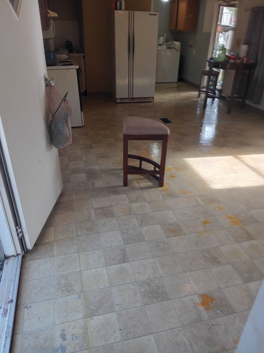 house cleaning before and after jobs — Heather Kesterson (Storm)