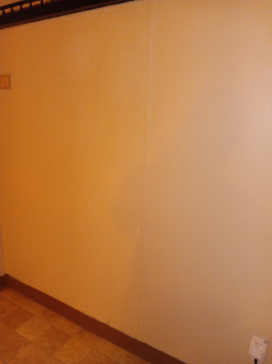 house cleaning before and after jobs — Heather Kesterson (Storm)