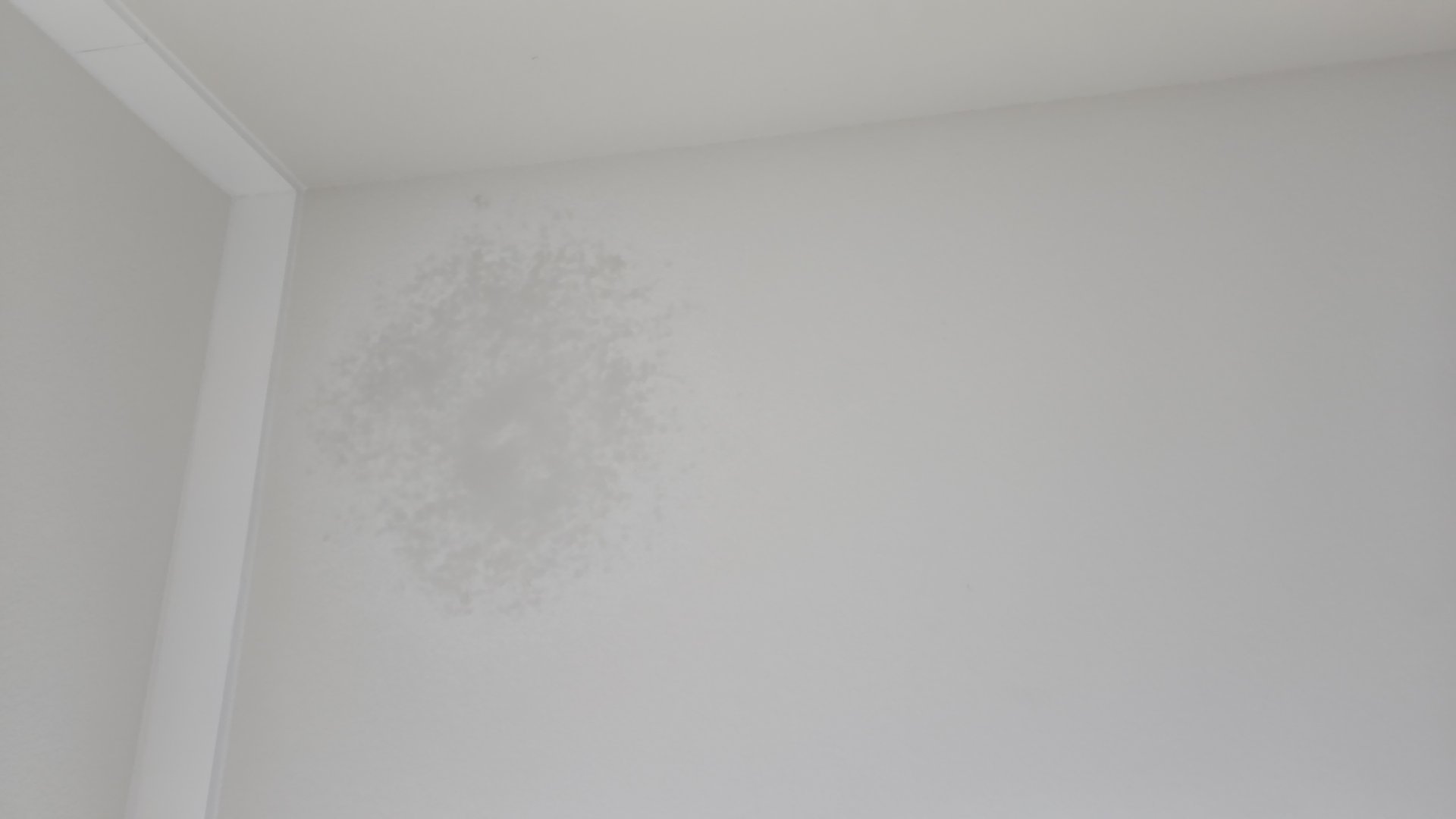 dryawall — Franklin Galdamez