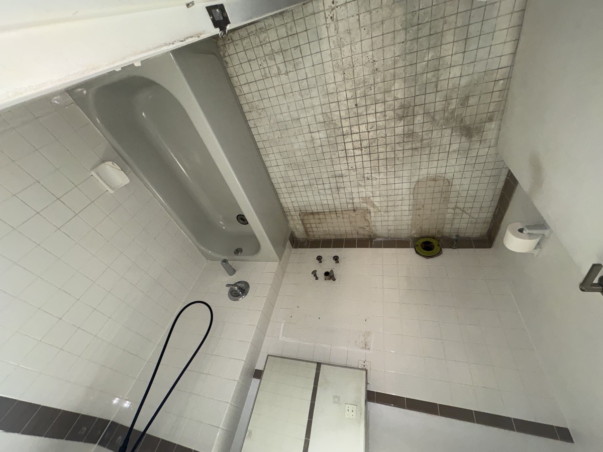 bathroom repair — cesar julio 48