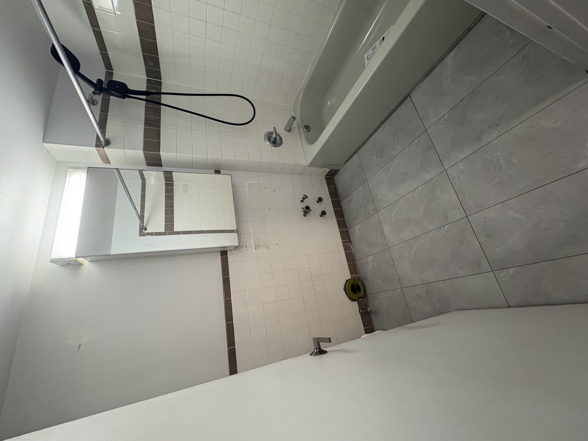 bathroom repair — cesar julio 48