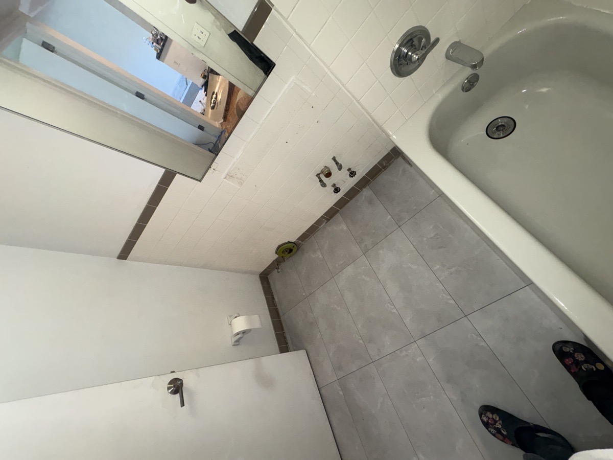 bathroom repair — cesar julio 48