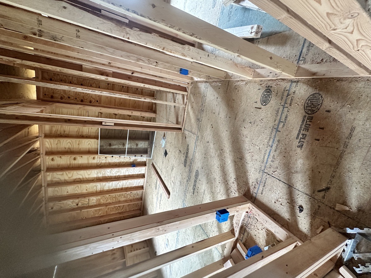 Big House proyect — BROTHERS CriolloS