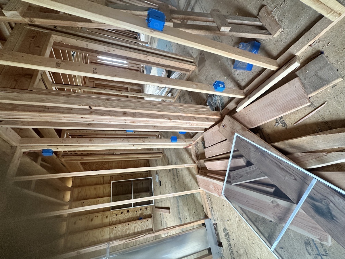 Big House proyect — BROTHERS CriolloS