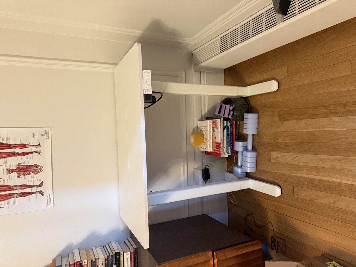 furniture assembly — Nicholas Da Silva 