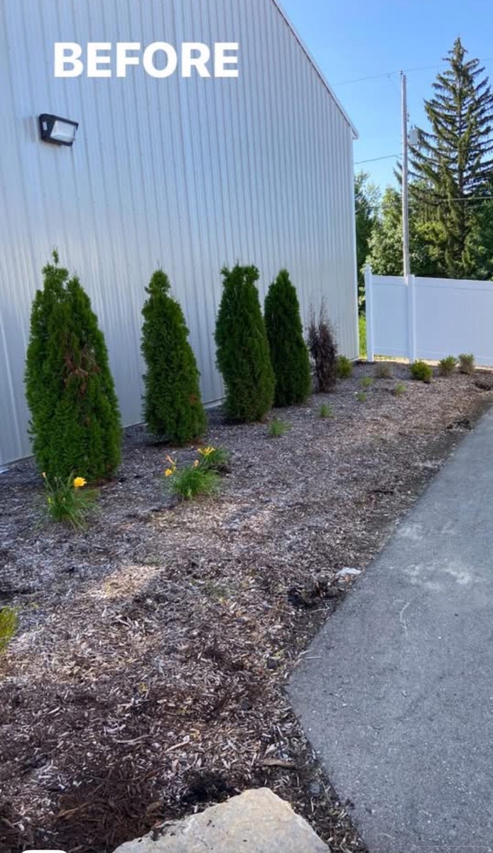 Landscape work — Liam Compton