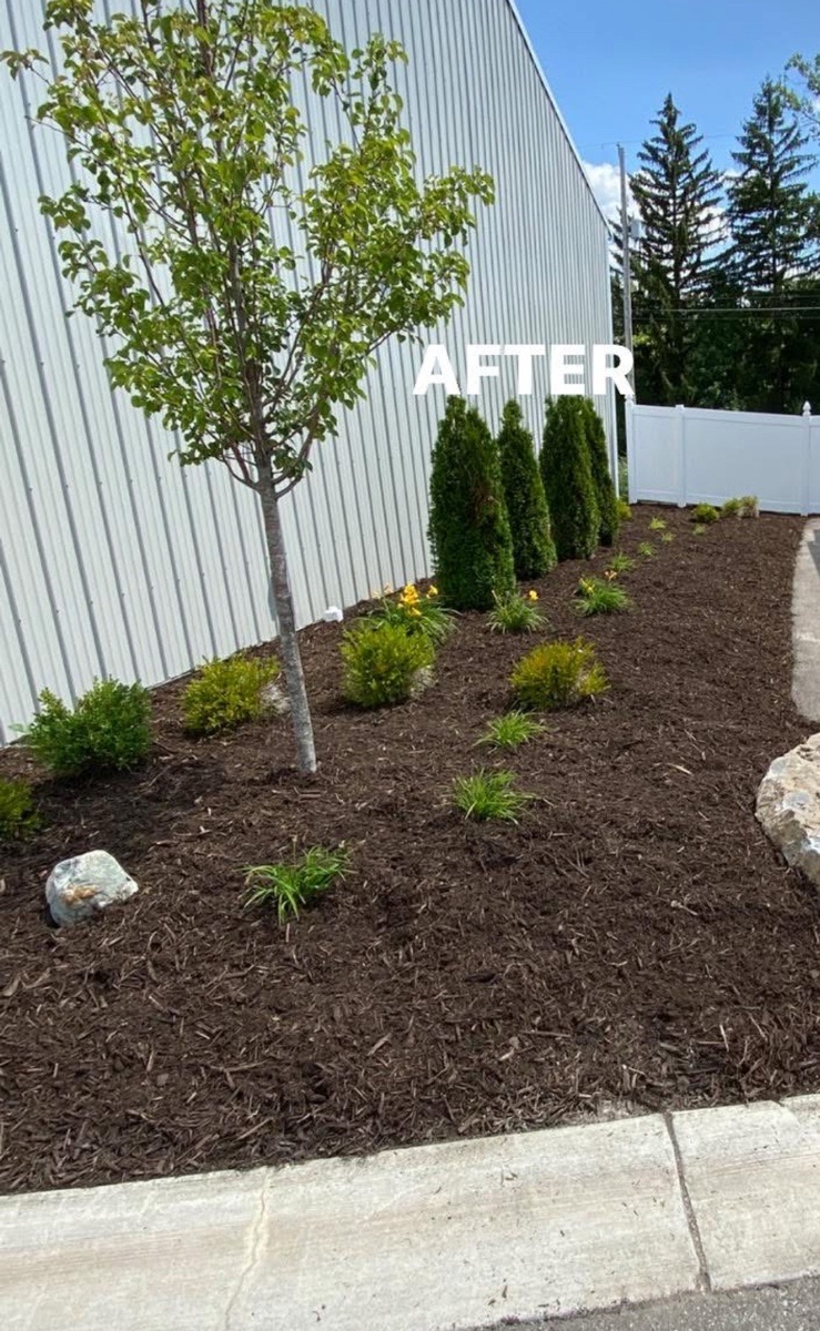 Landscape work — Liam Compton