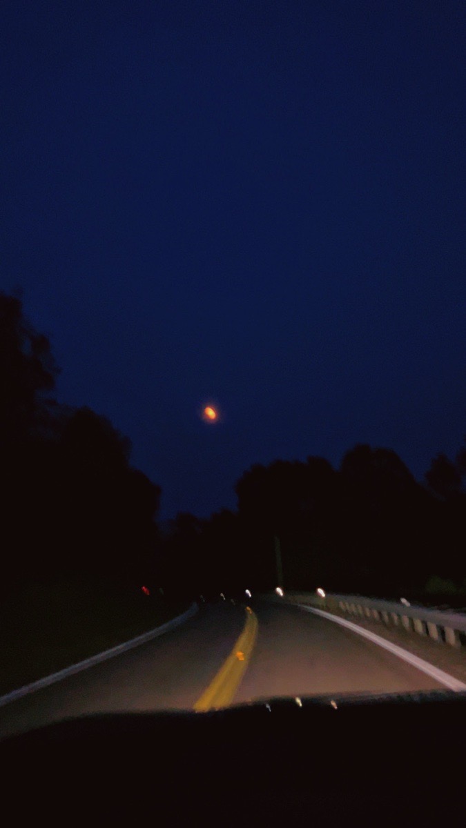 The drive — Amber Norris