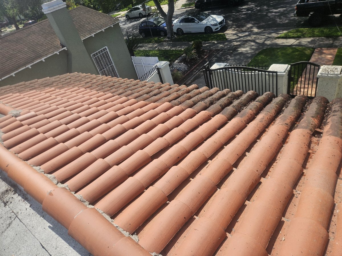 these are some of my various landscaping and pressure washing jobs. — Ryan Conrad-Davis