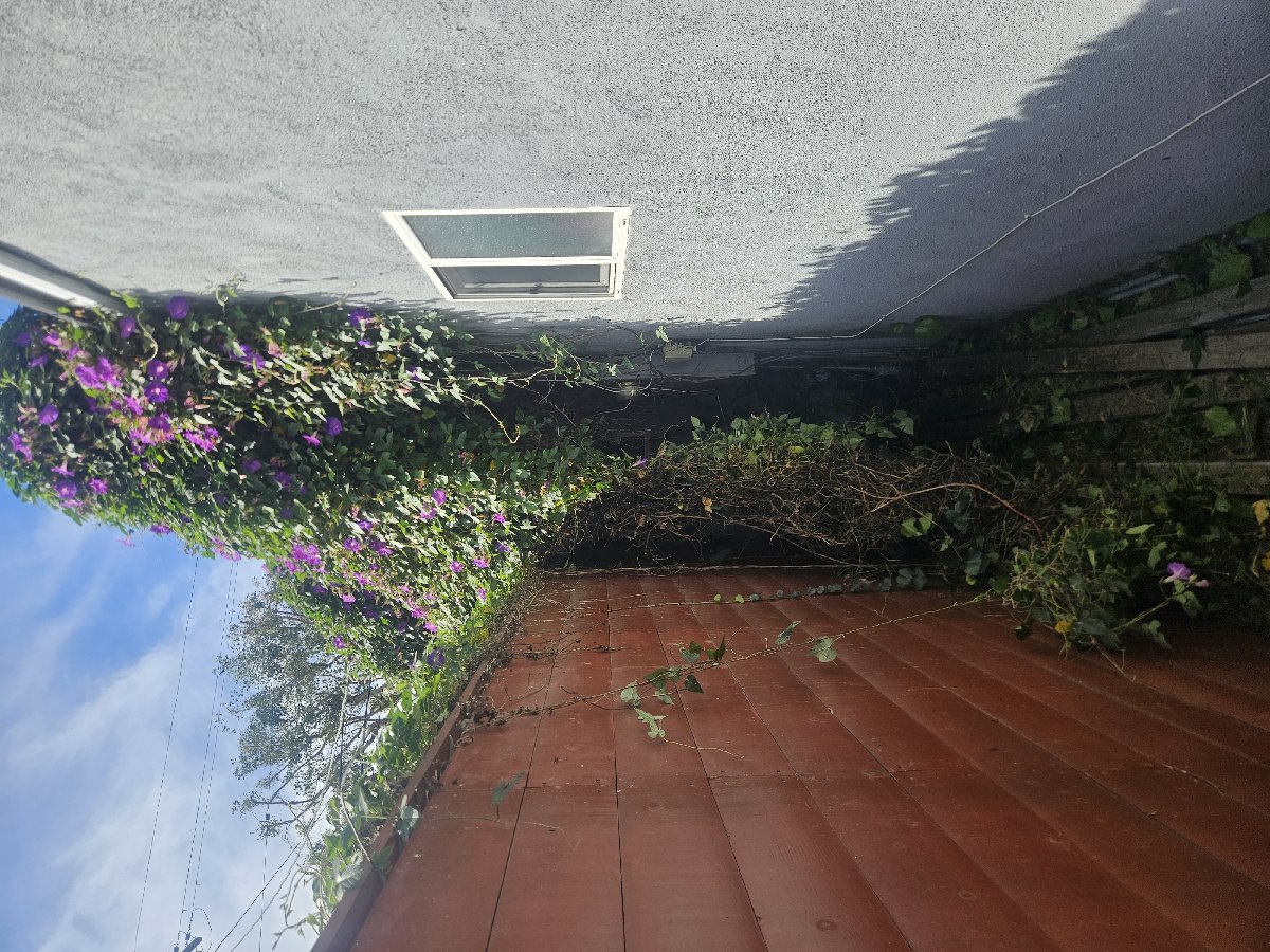 these are some of my various landscaping and pressure washing jobs. — Ryan Conrad-Davis