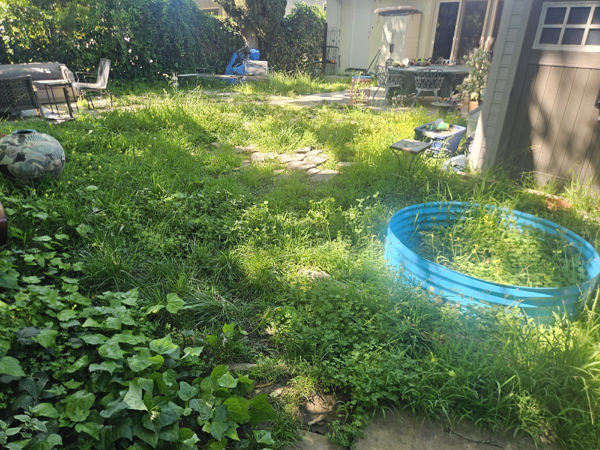 these are some of my various landscaping and pressure washing jobs. — Ryan Conrad-Davis