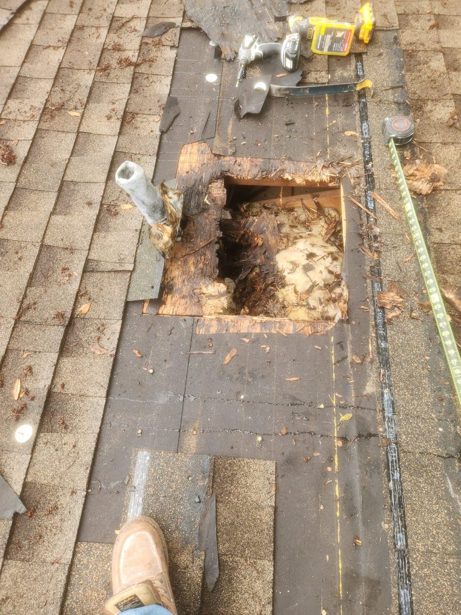 Roof Repair — Paul Brown