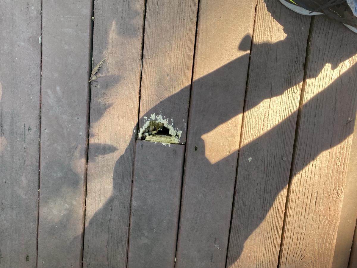 DECK BOARD REPAIR / REPLACE — Fenil Gandhi