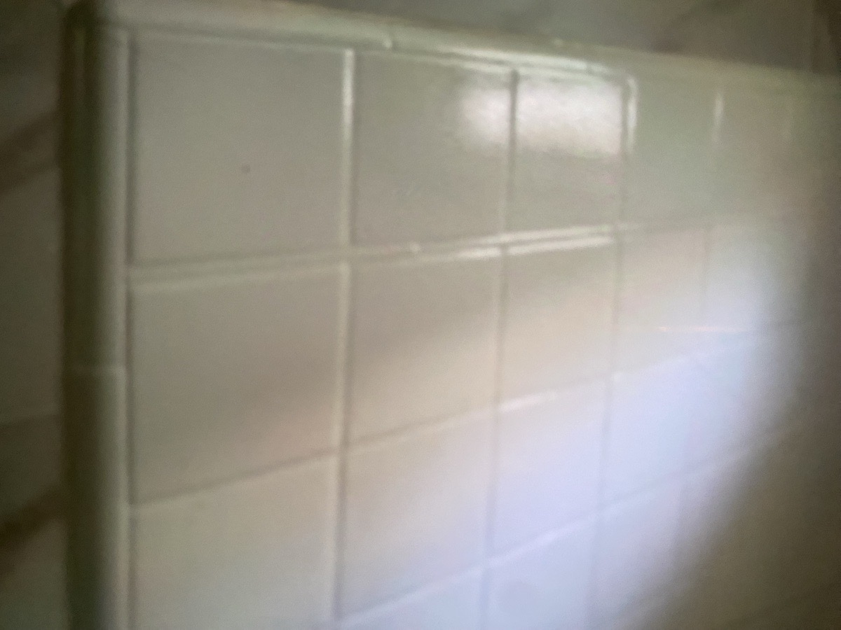 painting and stucco — Arturo Cortez
