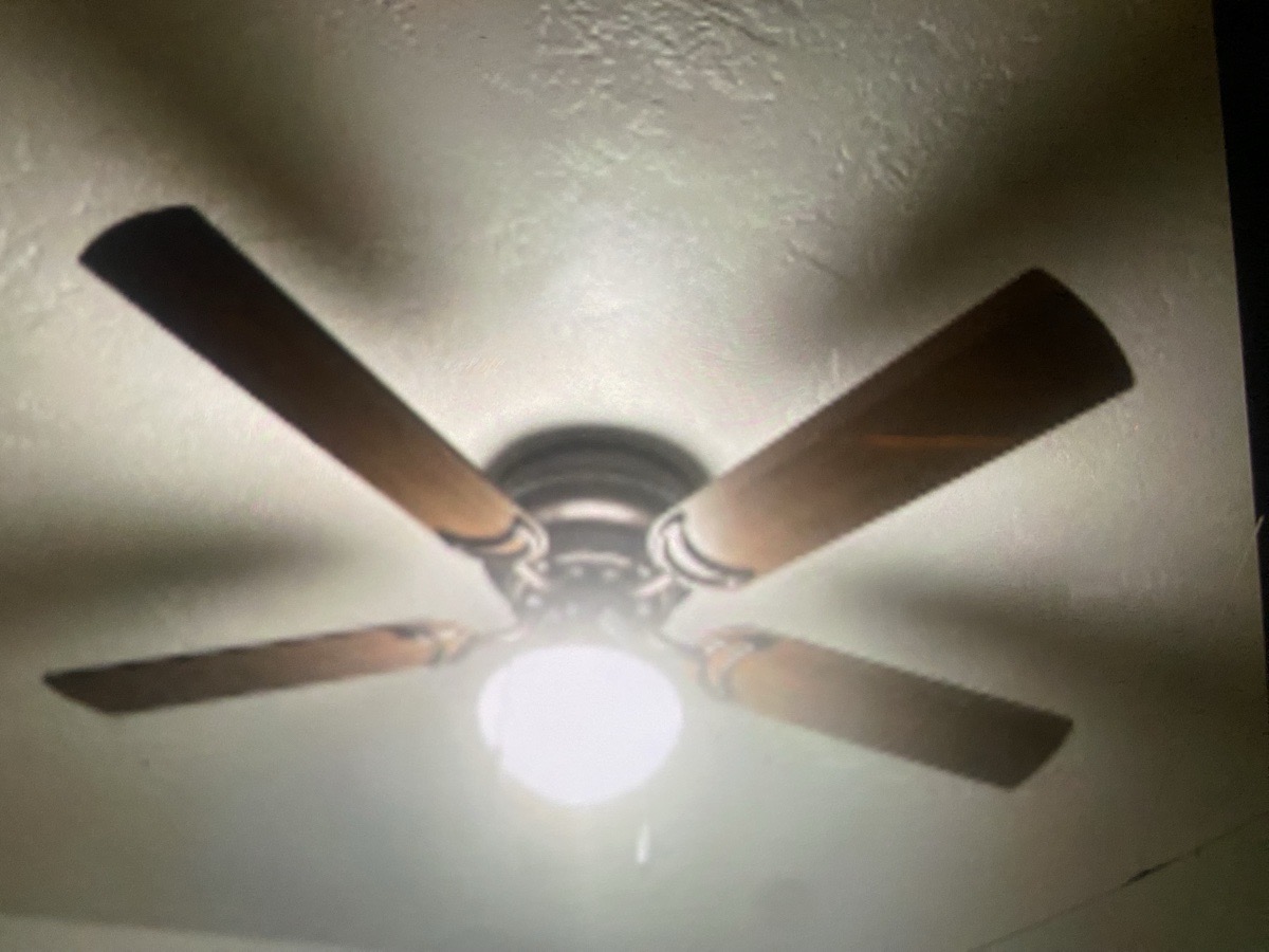 painting and stucco — Arturo Cortez