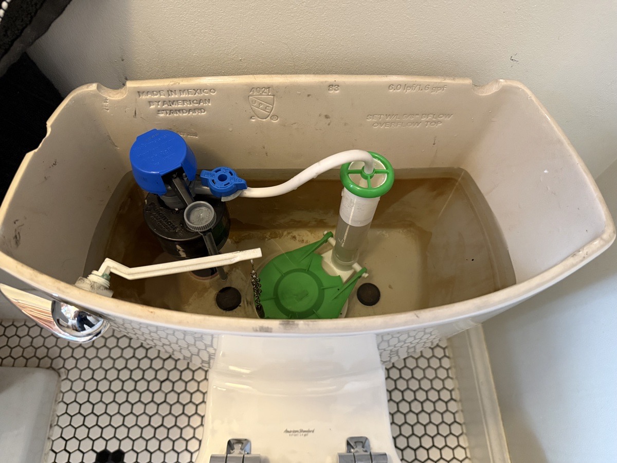 Toilet replacements and repairs — Andrew W