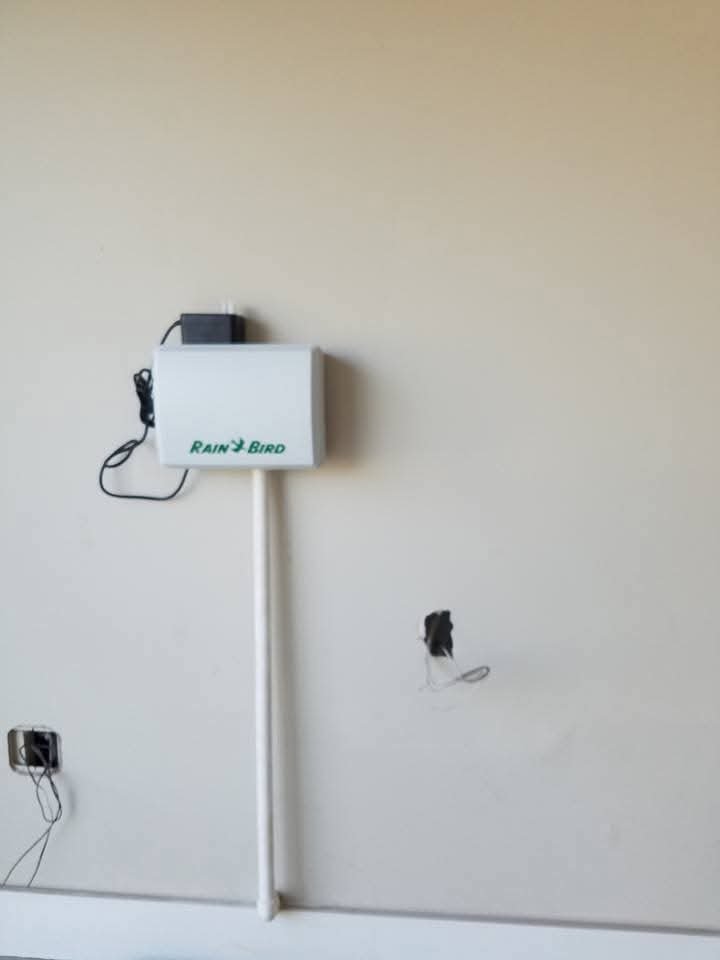 just some of the projects I did — Dylan B