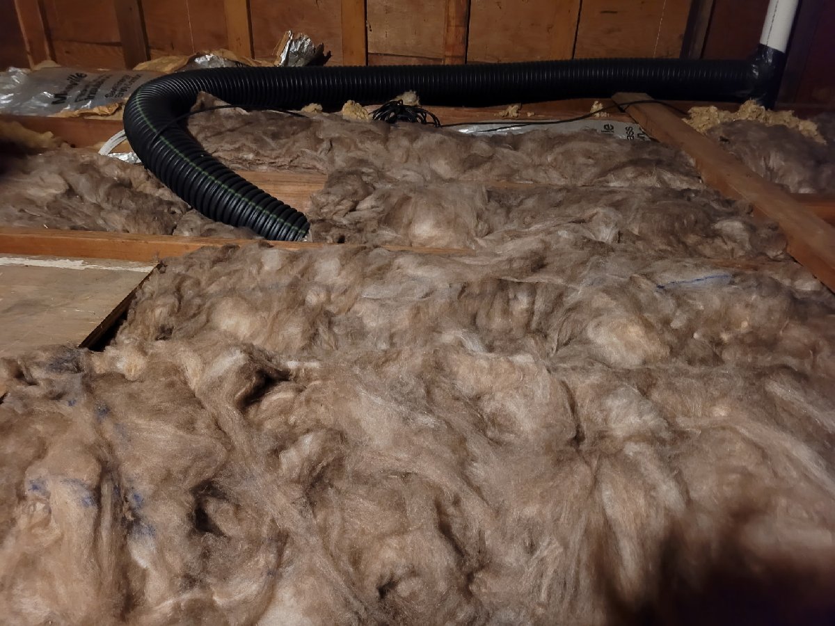 attic insulation — Wayne Livengood
