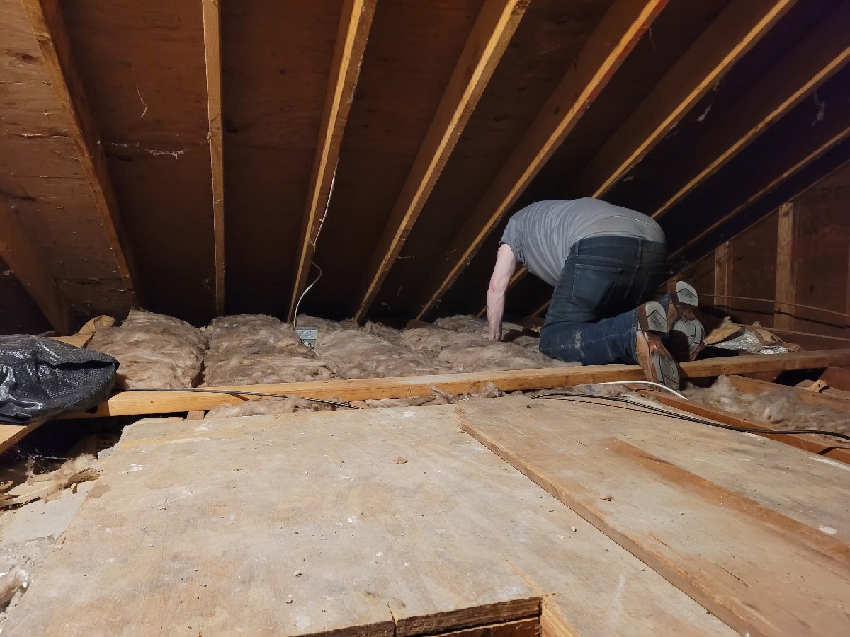 attic insulation — Wayne Livengood