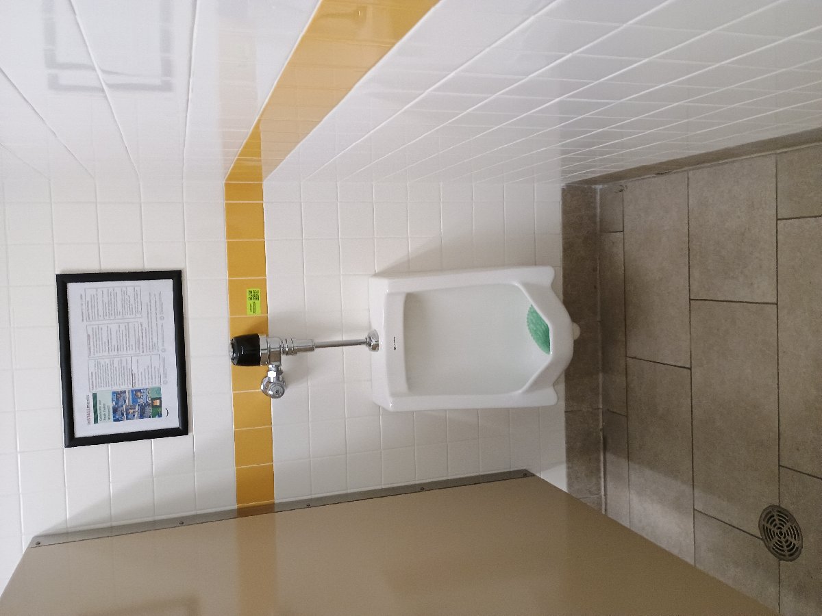 sanitation at Amazon — Jennifer Lathan