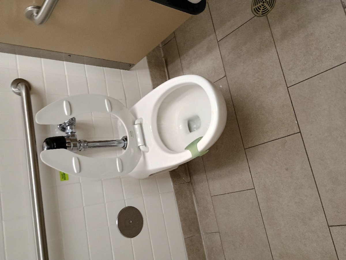 sanitation at Amazon — Jennifer Lathan