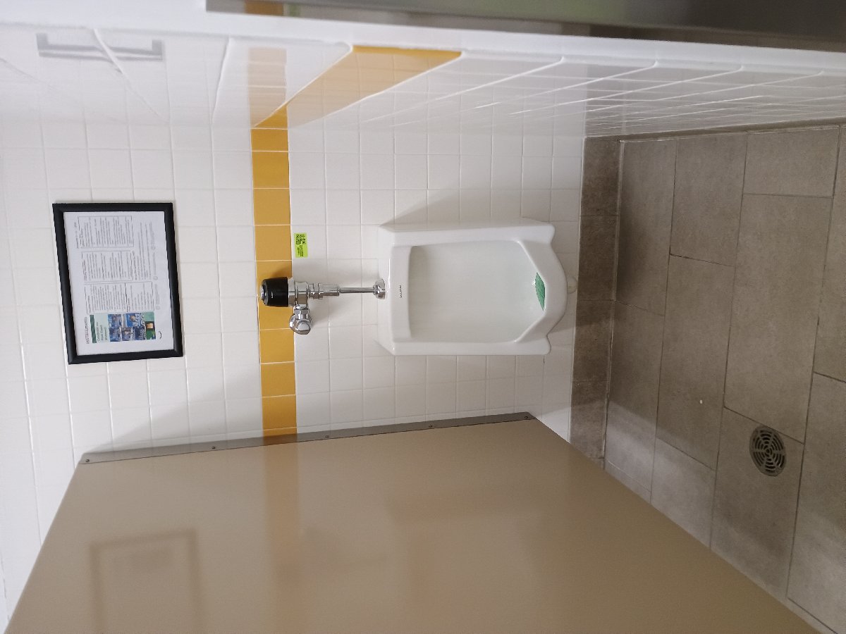 sanitation at Amazon — Jennifer Lathan