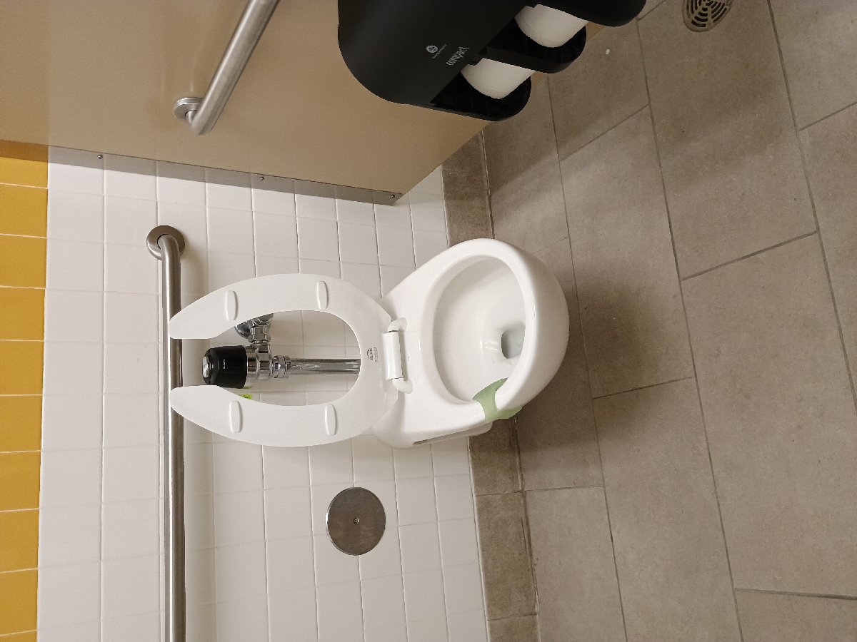 sanitation at Amazon — Jennifer Lathan