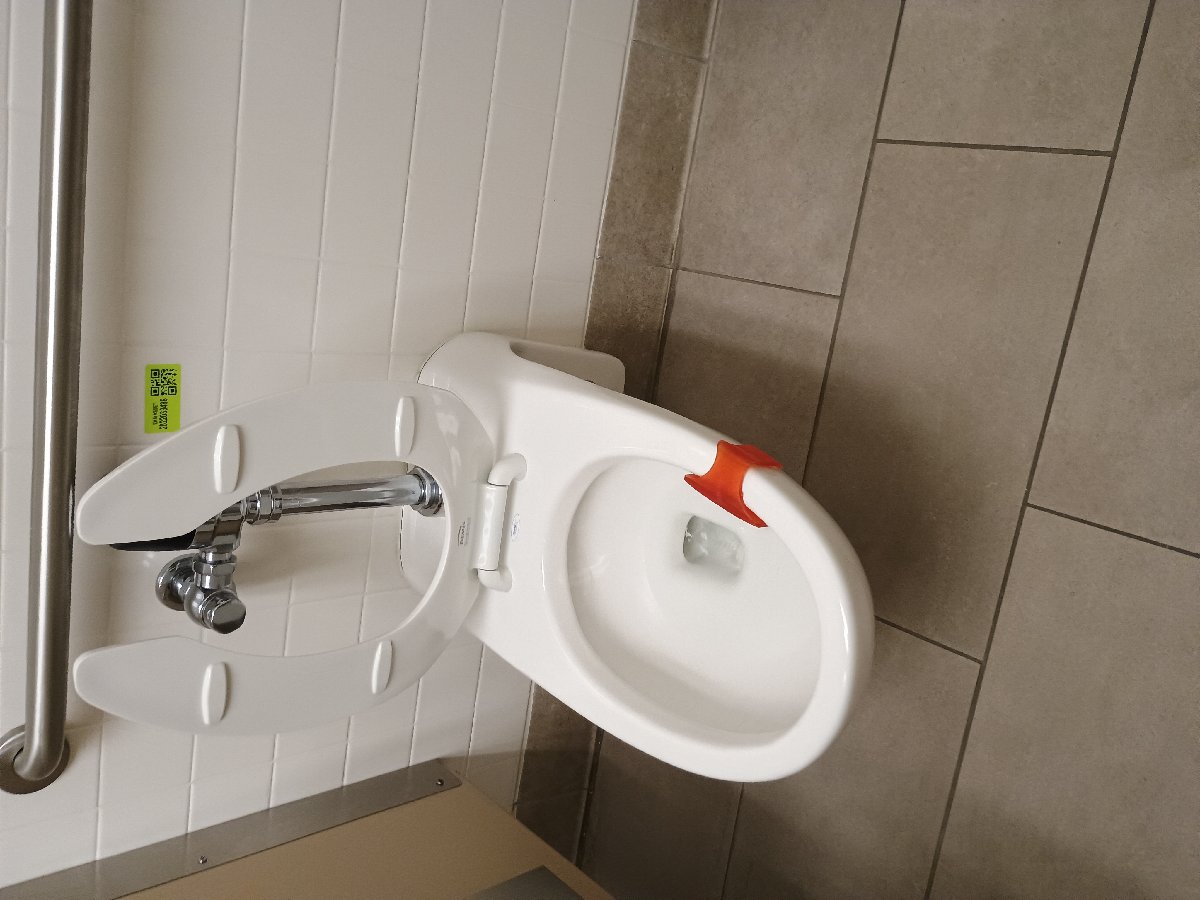 sanitation at Amazon — Jennifer Lathan