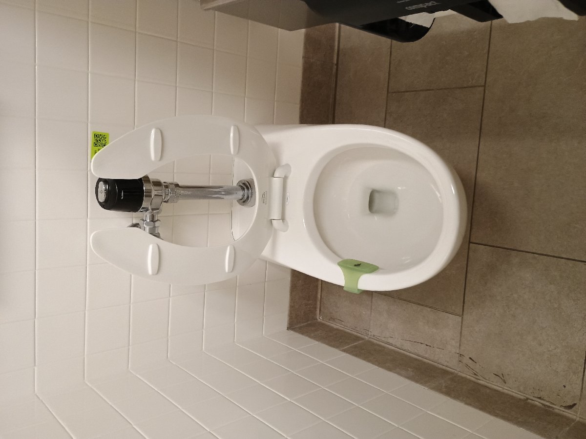 sanitation at Amazon — Jennifer Lathan