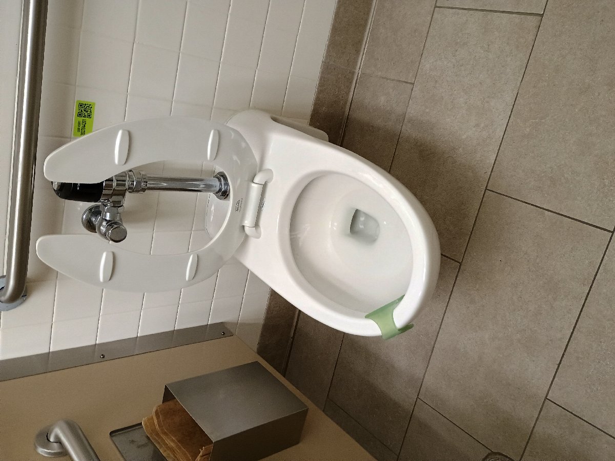 sanitation at Amazon — Jennifer Lathan
