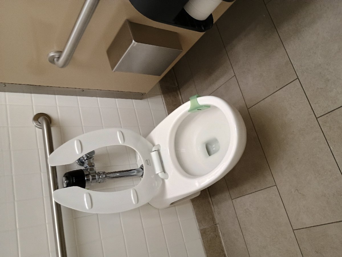 sanitation at Amazon — Jennifer Lathan