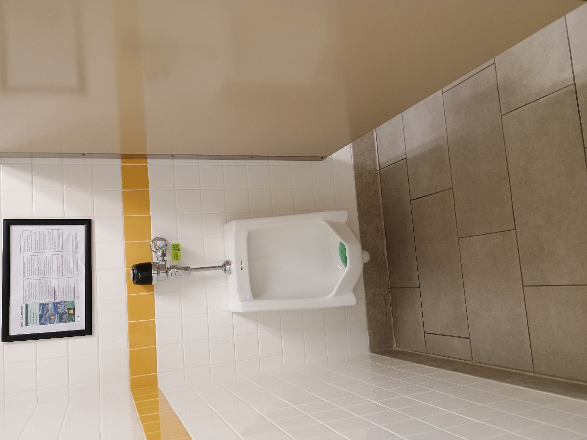 sanitation at Amazon — Jennifer Lathan