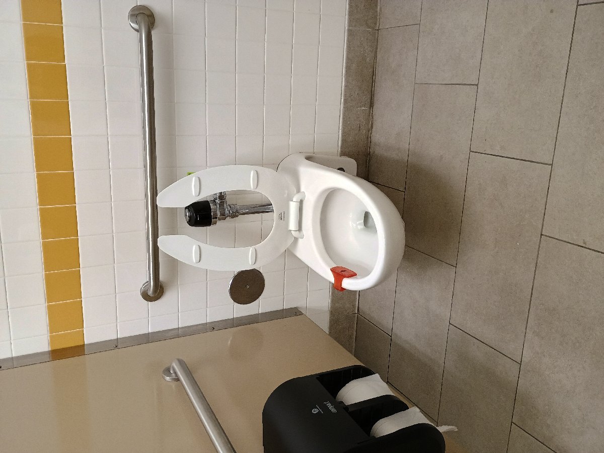 sanitation at Amazon — Jennifer Lathan
