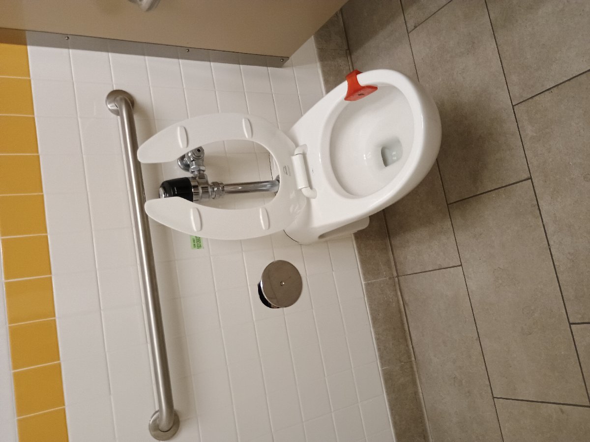 sanitation at Amazon — Jennifer Lathan
