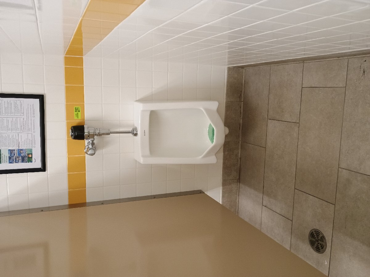 sanitation at Amazon — Jennifer Lathan