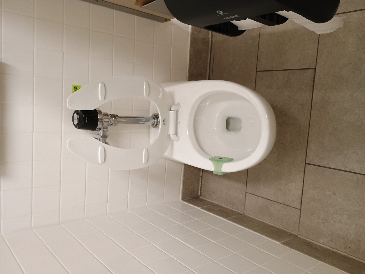 sanitation at Amazon — Jennifer Lathan