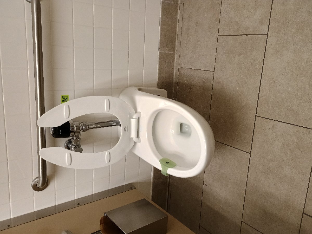 sanitation at Amazon — Jennifer Lathan