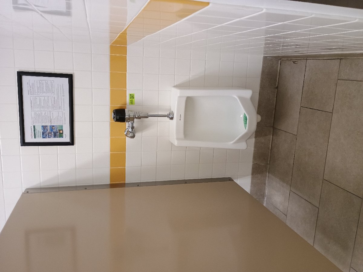 sanitation at Amazon — Jennifer Lathan