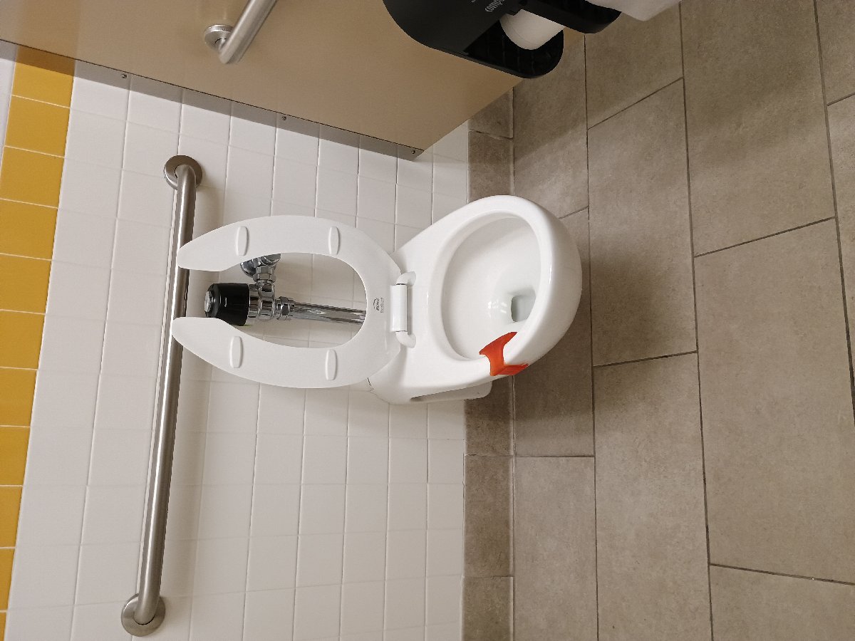 sanitation at Amazon — Jennifer Lathan