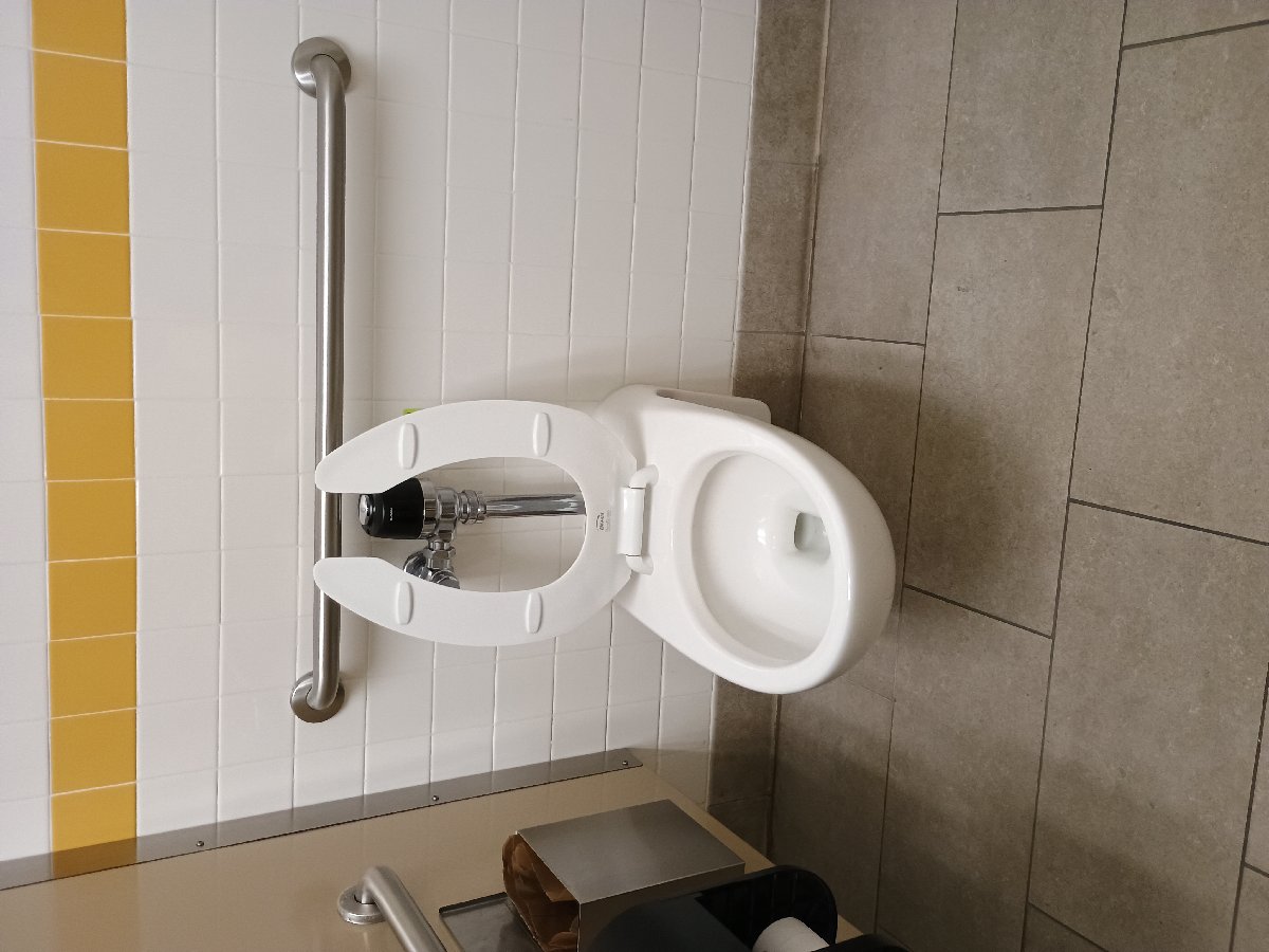 sanitation at Amazon — Jennifer Lathan