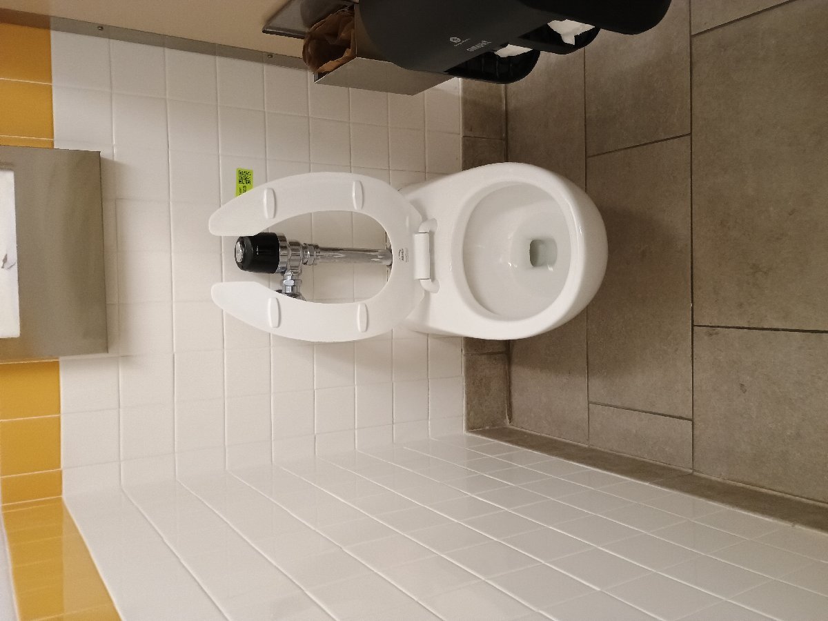 sanitation at Amazon — Jennifer Lathan