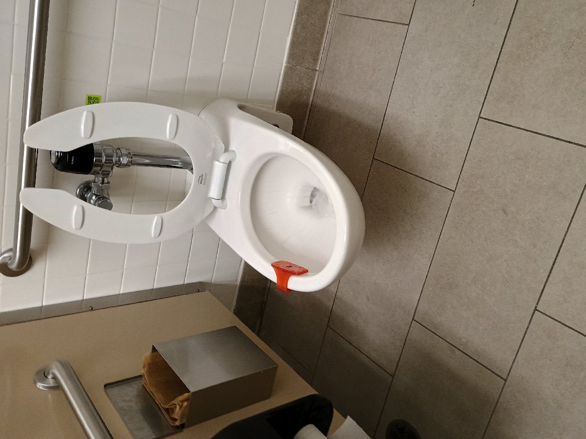 sanitation at Amazon — Jennifer Lathan