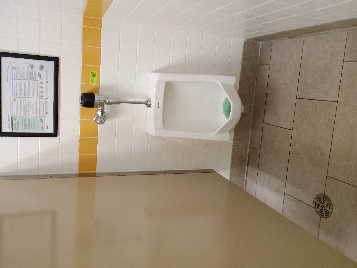 sanitation at Amazon — Jennifer Lathan