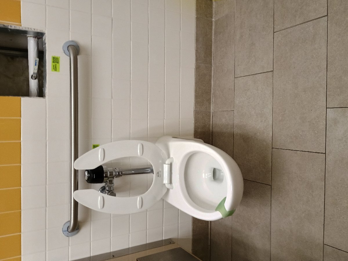 sanitation at Amazon — Jennifer Lathan